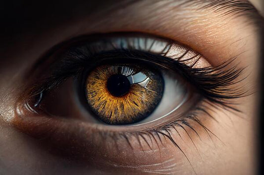 Understanding dry eye disease (DED): tear film instability, symptoms, and professional eye care solutions at Hirocon SG