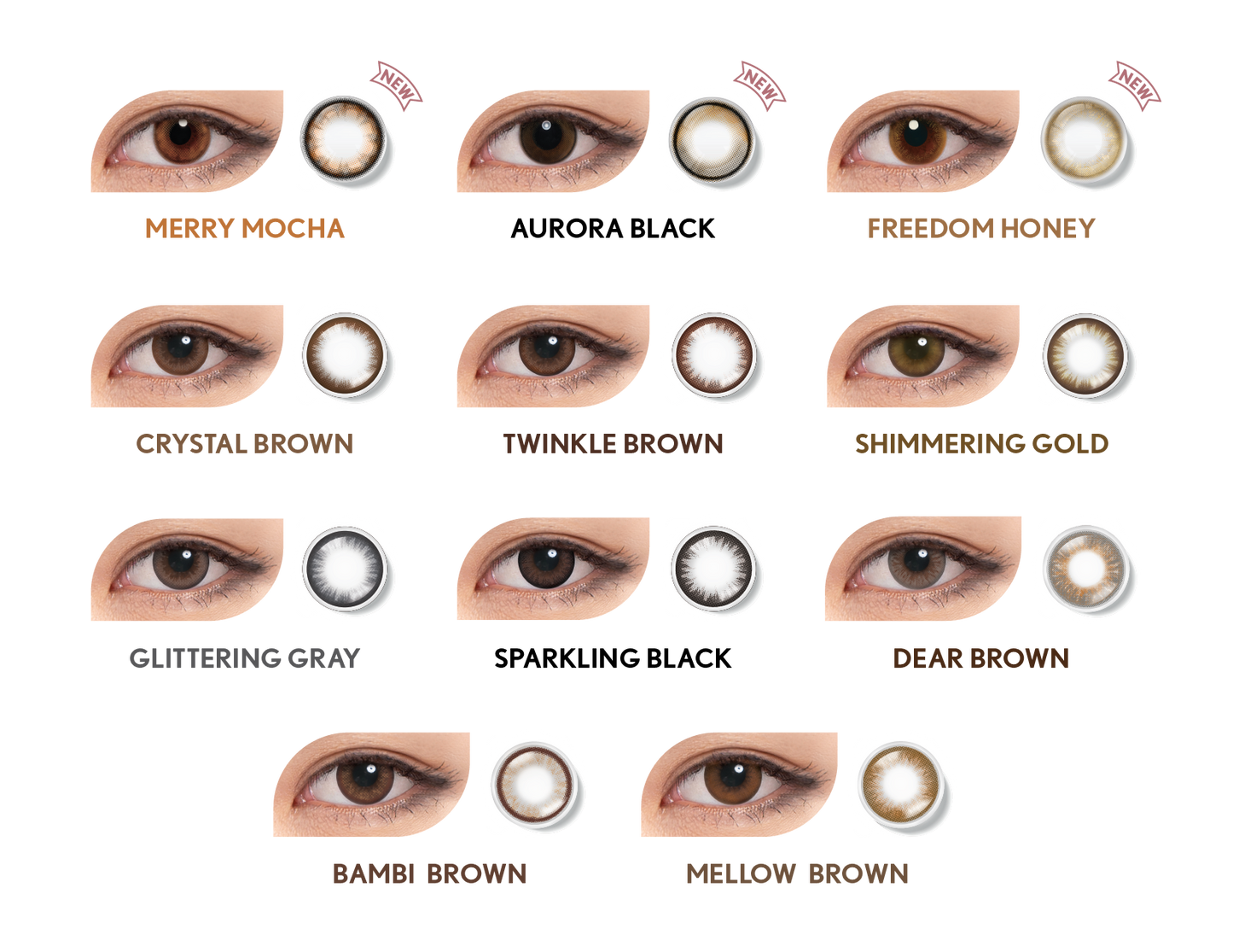 LACELLE™ Daily (4 boxes)