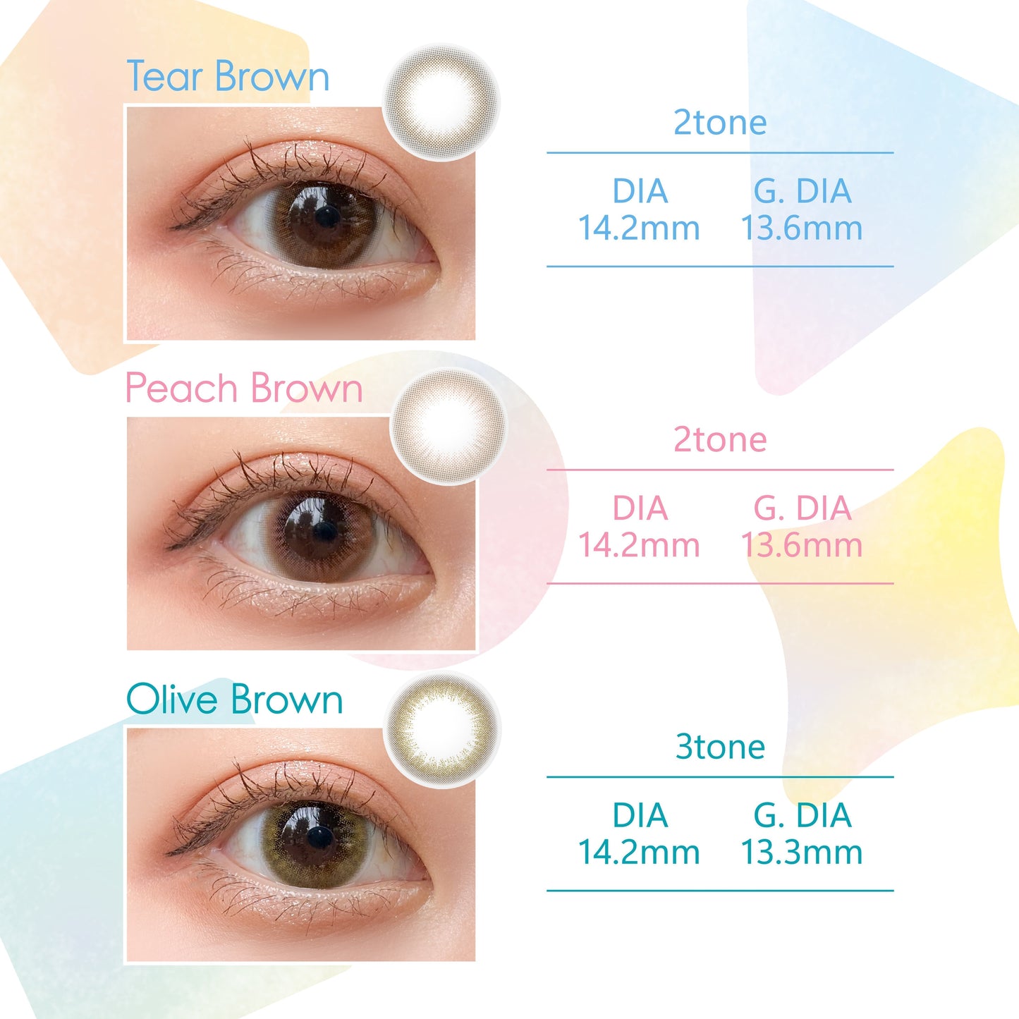 SEED Belleme 1 Day color contact lenses 24 boxes bundle with natural style hydrogel daily lenses at Hirocon Singapore
